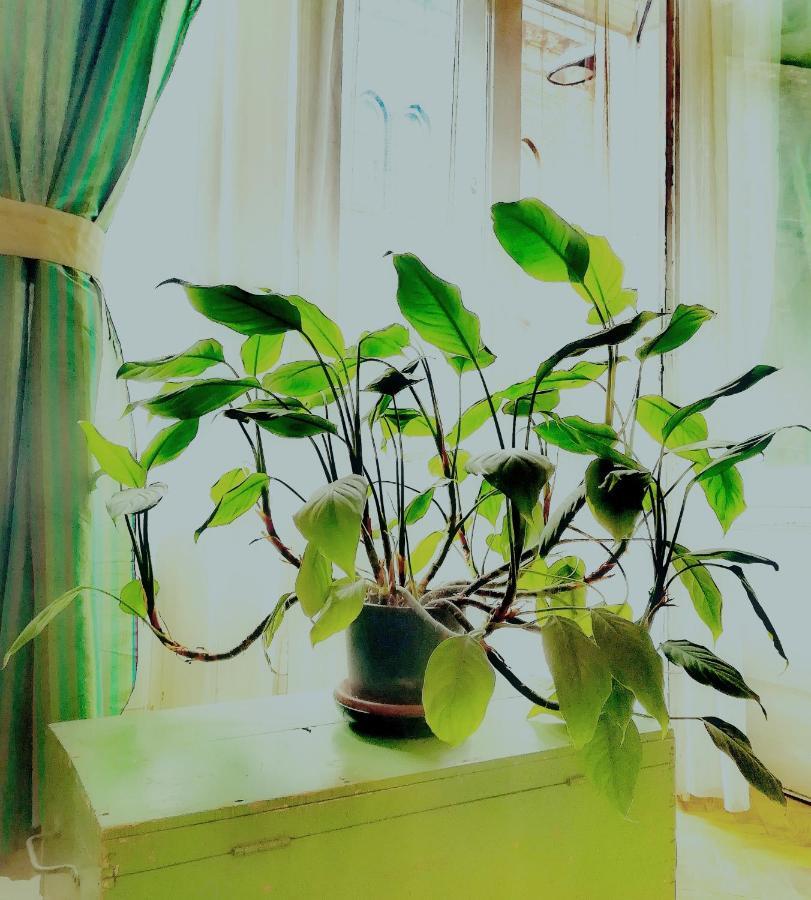בודפשט Prater Noster Apartment מראה חיצוני תמונה